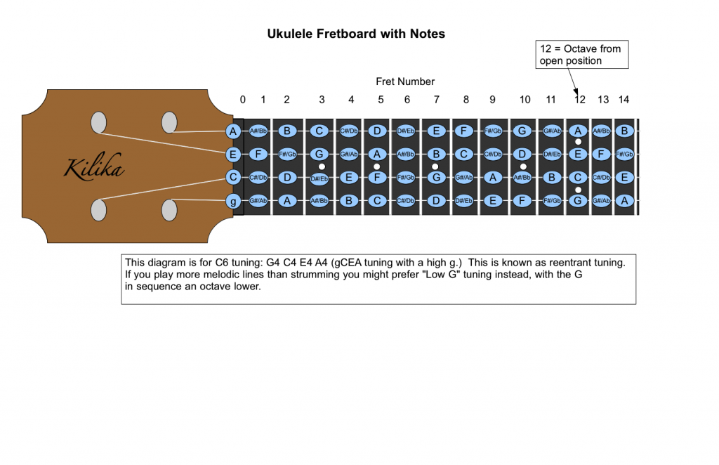 Ukulele Fretboard with Notes