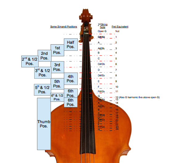 Db 11 Position Numbering On The Double Bass Christopher J Hartzog Music 2934